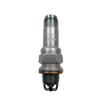REM37BY, CHAMPION SPARK PLUGS, UREM37BY - Imagem 2